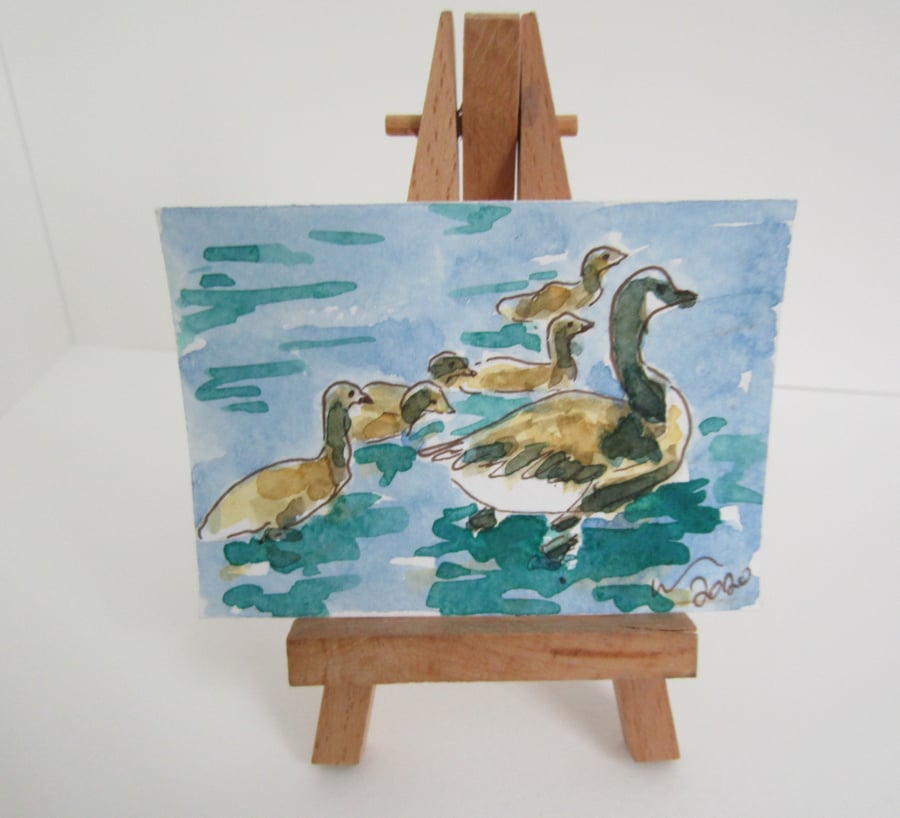 ACEO Art Goslings Swim Original Watercolour & Ink Painting OOAK