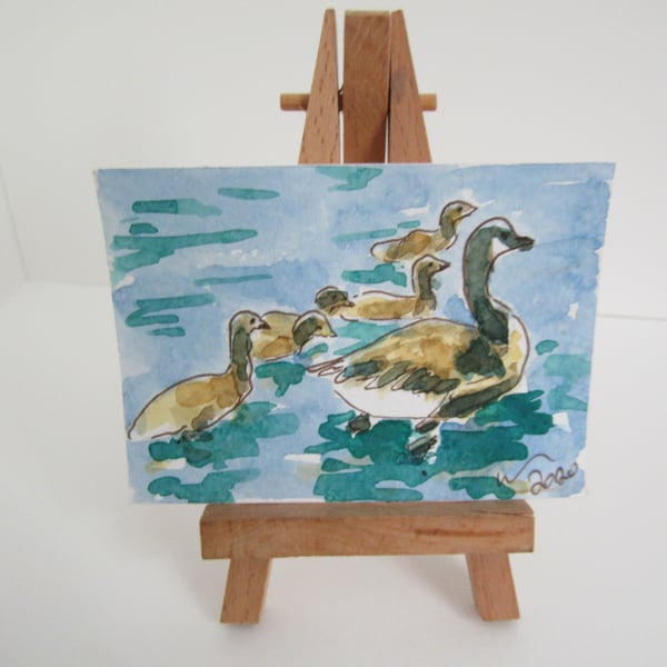 ACEO Art Goslings Swim Original Watercolour & Ink Painting OOAK