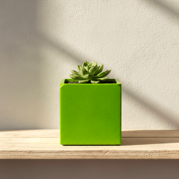 Lime Green Square Plant Pot with Rounded Corners for Small Indoor Plants