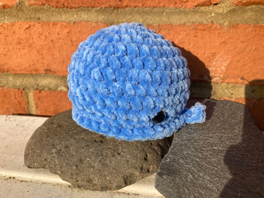 Squishy plush friends from the sea