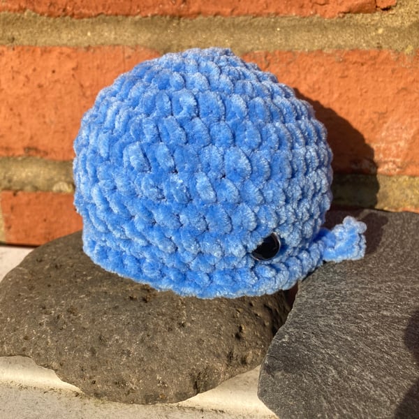 Squishy plush friends from the sea