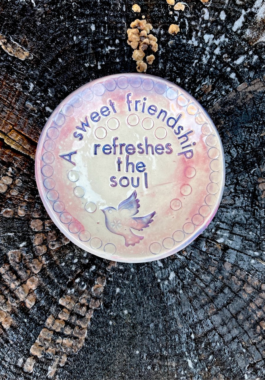 Handcrafted Ceramic Friendship Plate - A Sweet Friendship Refreshes The Soul - 