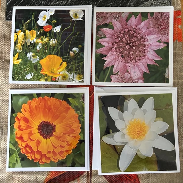 Set of 4 blank cards with flowers 