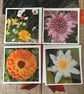 Set of 4 blank cards with flowers 