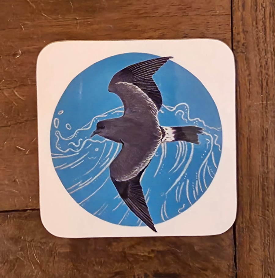 Storm Petrel Coaster