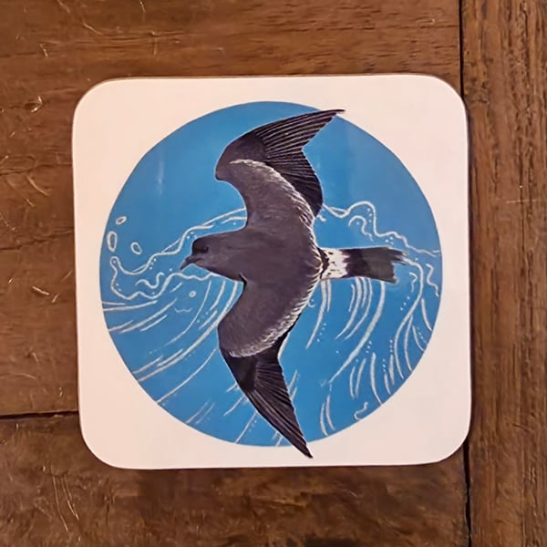 Storm Petrel Coaster