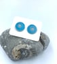 Turquoise anodised aluminium ammonite stud earrings