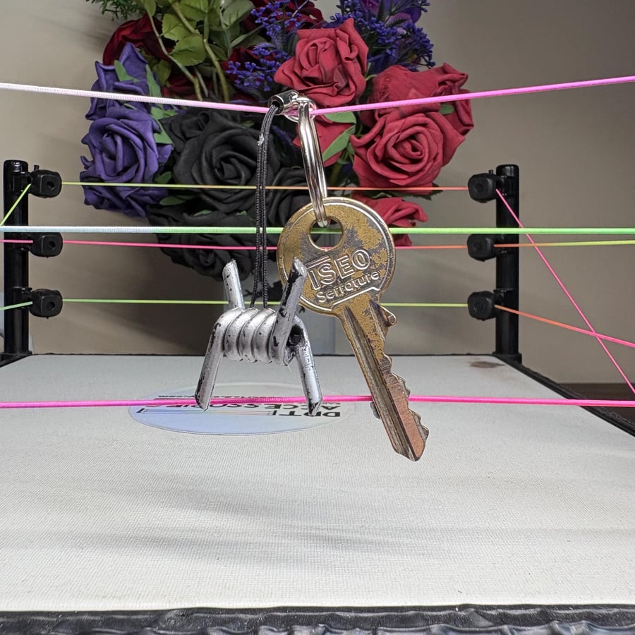 Barbed wire barb keyring: Pro Wrestling key chain, Handmade