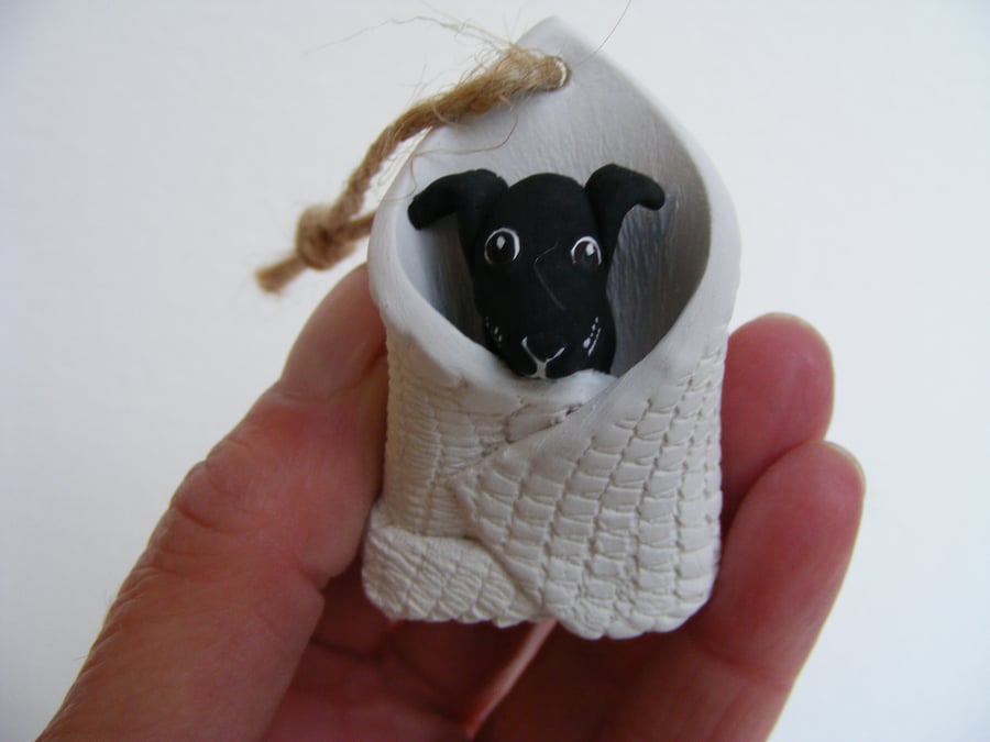 Black dog in blanket (1)