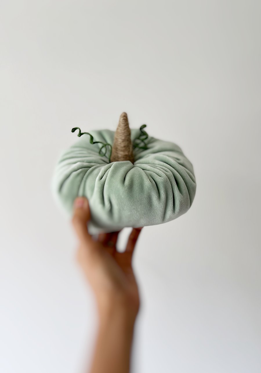 Sea Foam Green Velvet Pumpkin