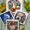 Autumn Bundle