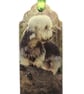 Handmade Dandie Dinmont Terrier Dog Bookmark with Ribbon