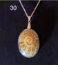 Ammonite necklace laid on a bed of sand 