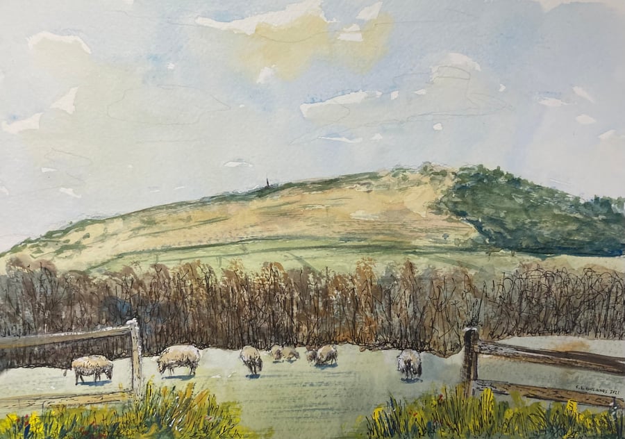 Captain cooks monument (Pure Original Watercolour and ink) mixed media