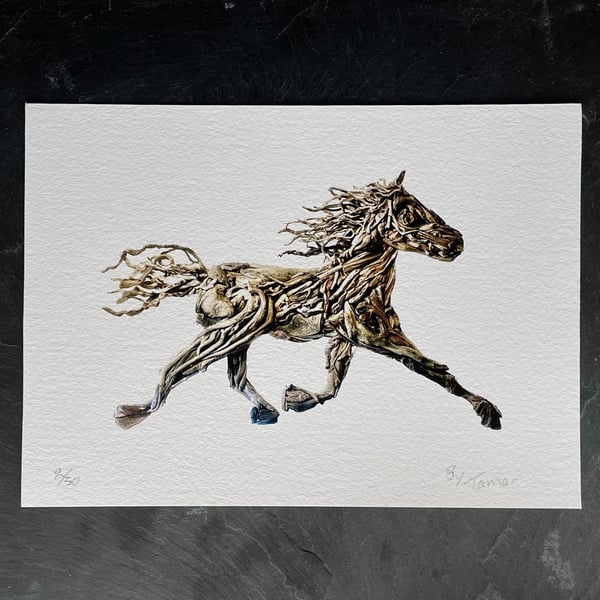 Driftwood Horse-Giclee Print, Wall art. A5