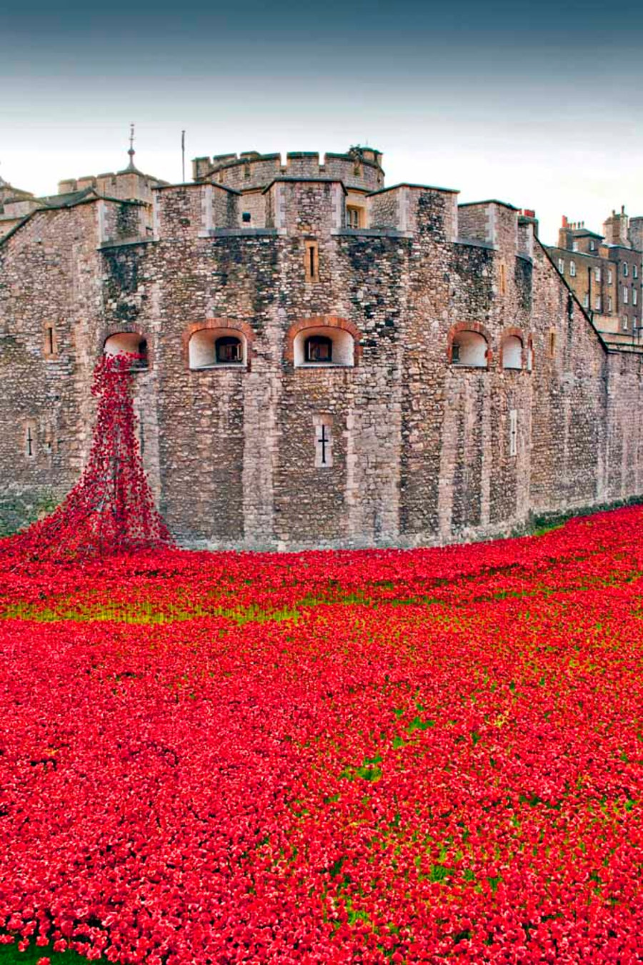 Image of Tower Of London Red Poppy Memorial England Photograph Print