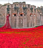 Tower Of London Red Poppy Memorial England Photograph Print