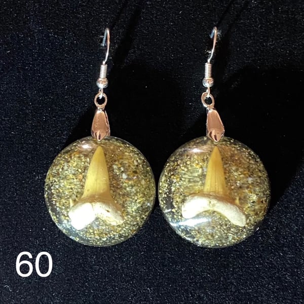 Sharks tooth earrings , 50 million years old 