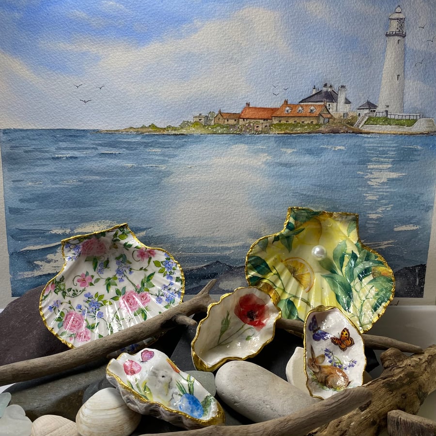 Beautiful Seashells and Watercolours 