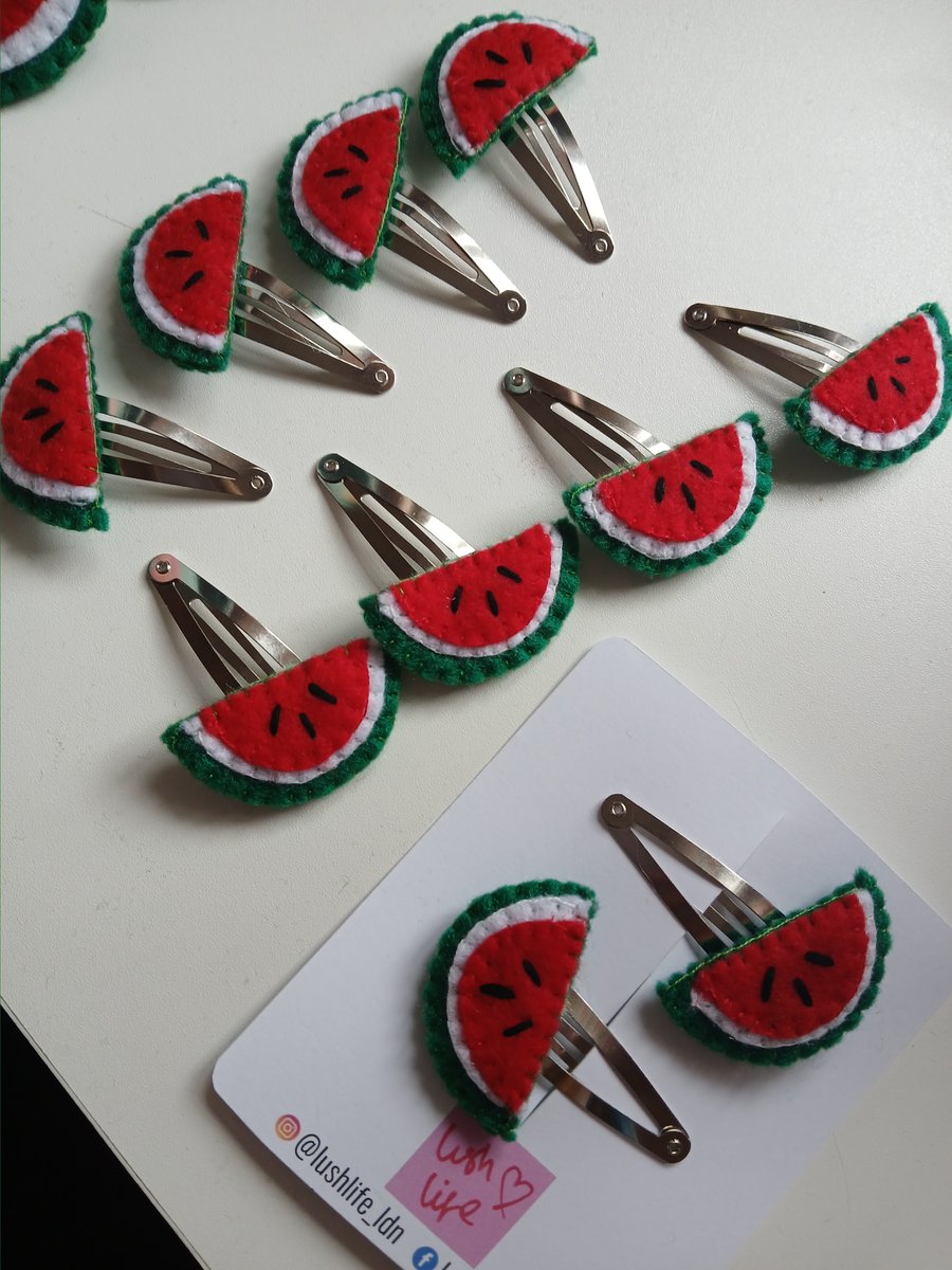 Felt watermelon hairclips (set of 2) MAP fundraiser 