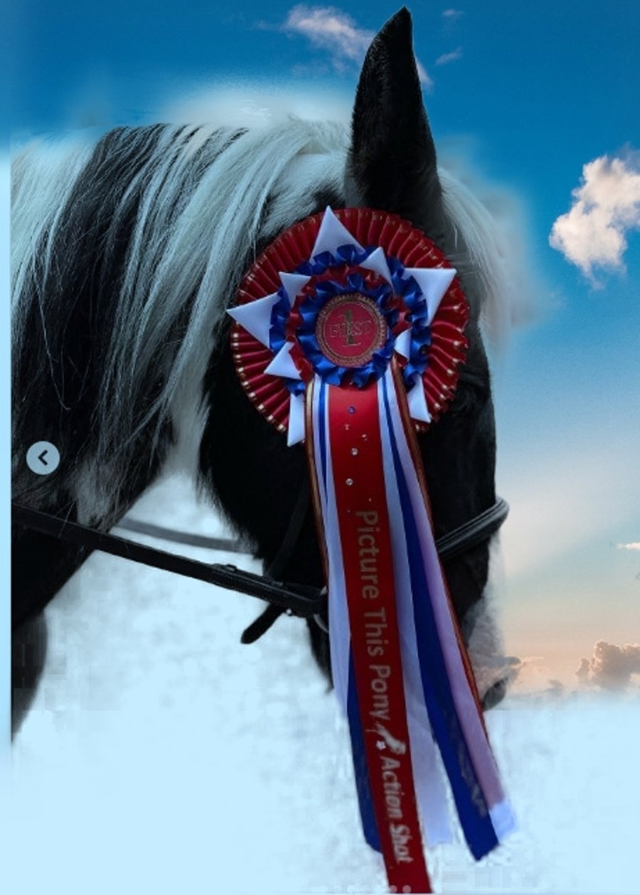 4 tier rosette. Award Ribbon Best satin ribbon, with 9 star points. Personalised