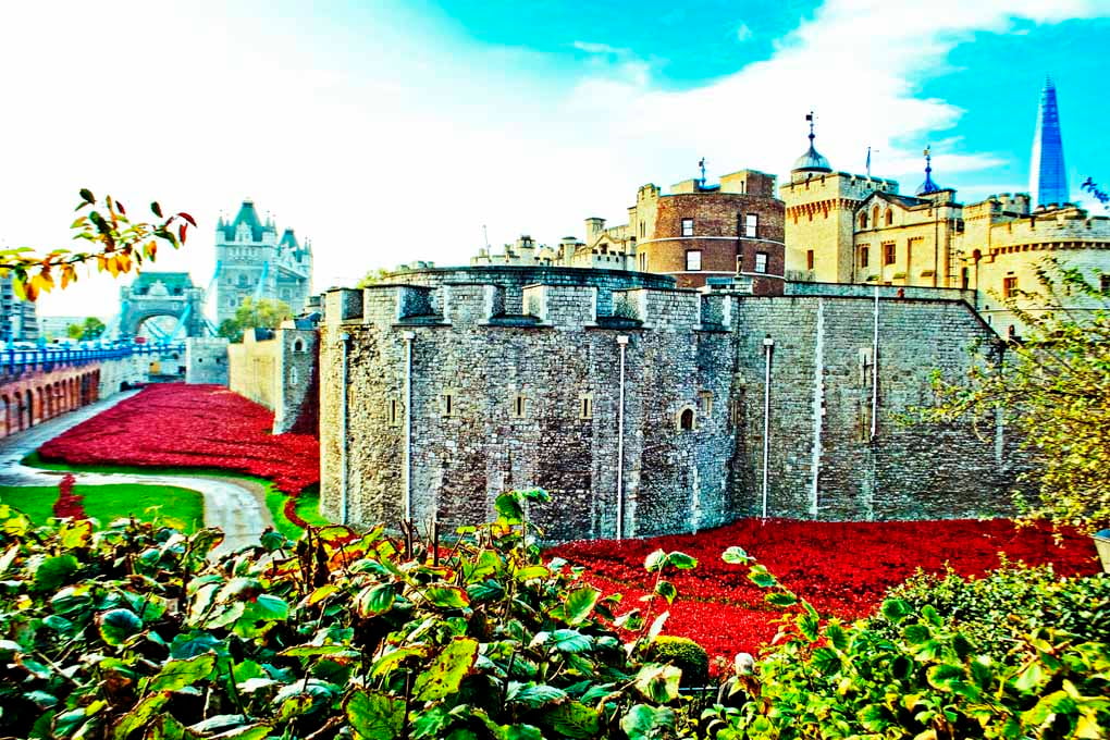 Tower of London Red Poppies England UK Photograph Print