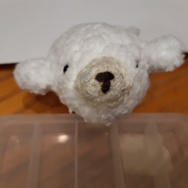 Pocket Sized Seal Pup