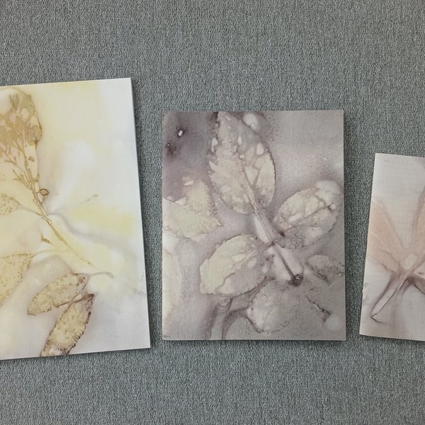 Set of 3 Eco Printed Pamphlet Stitched Notebooks