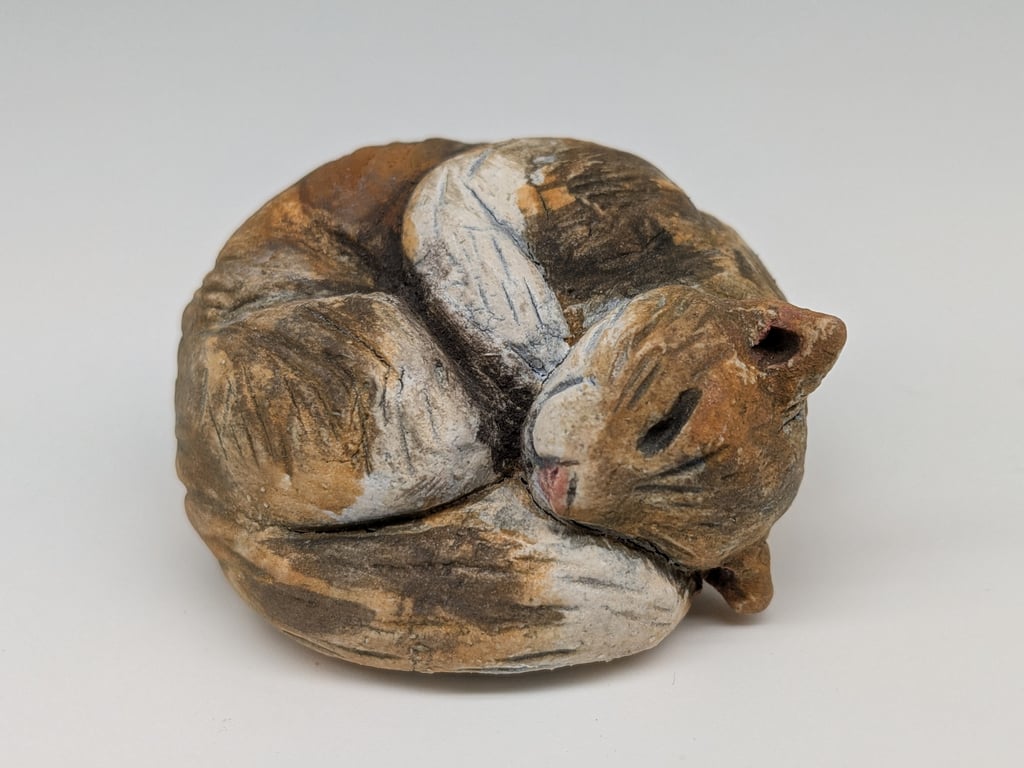 Mini Curled Cat 4 