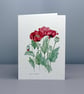 Poppies Greetings card