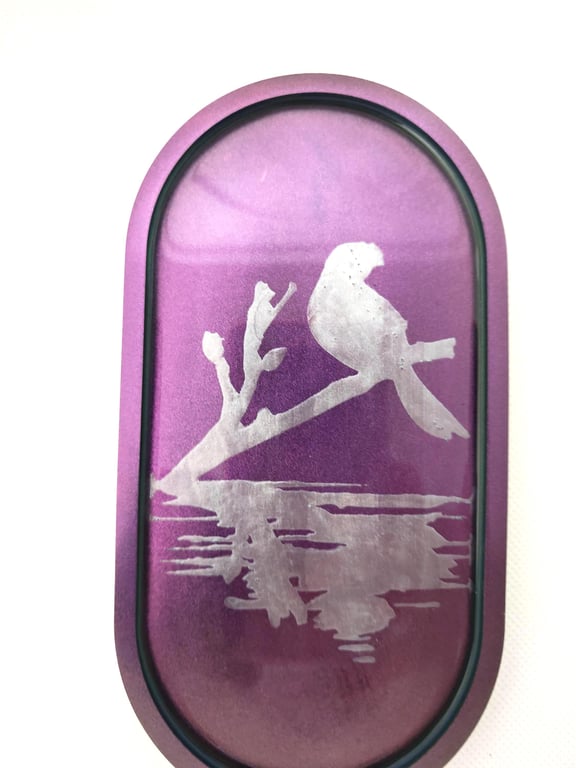 Color Shift Resin Trinket Tray: Iridescent Chameleon Jewelry Holder