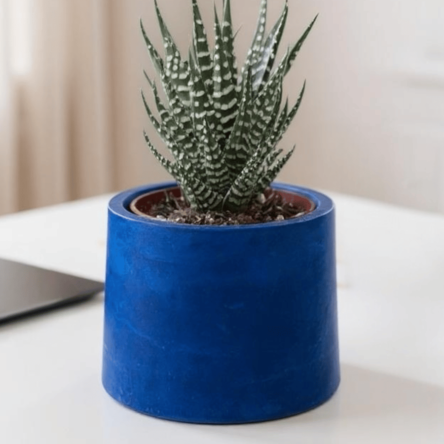 Small Prussian Blue Plant Pot - 7.5 cm Mini Succulent Pot