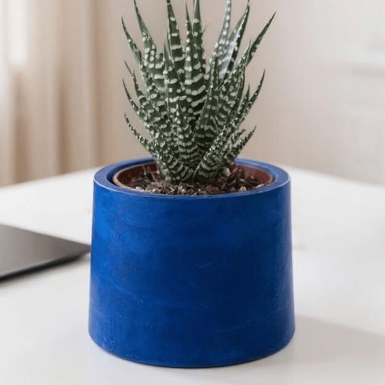Small Prussian Blue Plant Pot - 7.5 cm Mini Succulent Pot