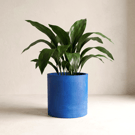 Large Statement 19 cm Round Blue Indoor Plant Pot Houseplant Planter
