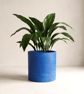 Large Statement 19 cm Round Blue Indoor Plant Pot Houseplant Planter