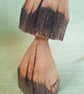 Oak Toadstool - Image 3