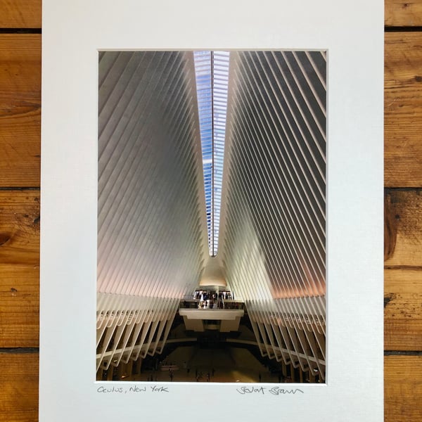 ‘Oculus’ New York signed mounted print FREE DELIVERY