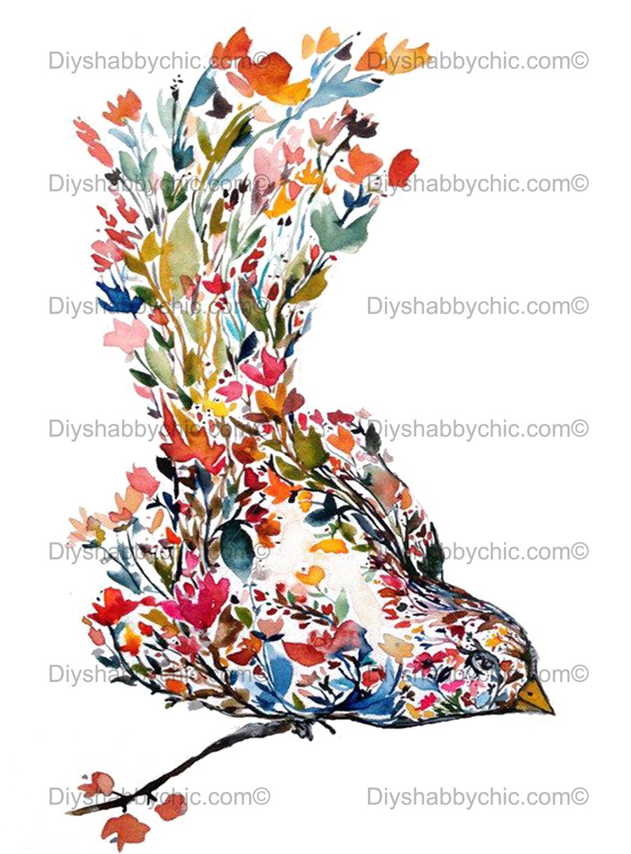 Waterslide Wood Furniture Vintage Image Transfer DIY Shabby Chic Art Floral Bird