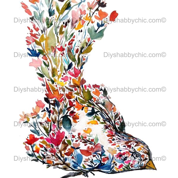 Waterslide Wood Furniture Vintage Image Transfer DIY Shabby Chic Art Floral Bird