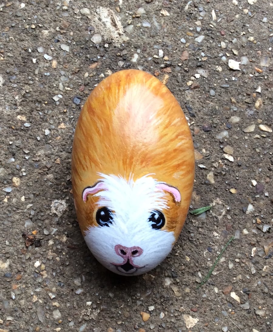 Guinea pig hand painted on small stone 