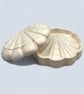 Perfectly Imperfect Pearlescent Shell Jewellery Box with Lid