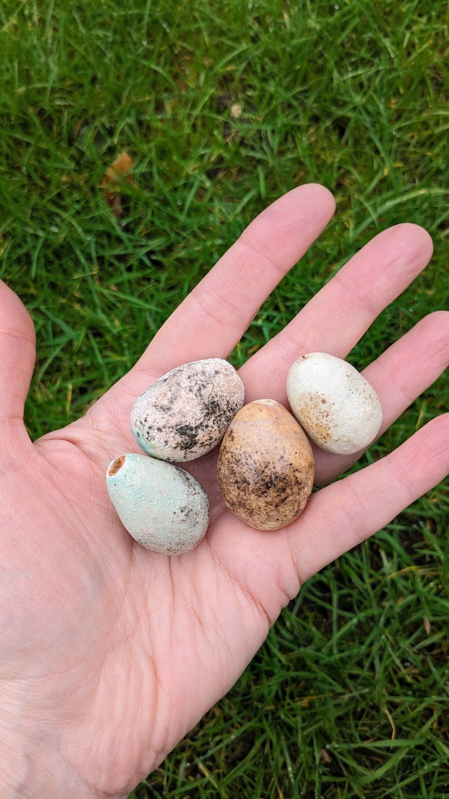 Perfectly Imperfect four ceramic Easter eggs, lifesized speckled songbird eggs