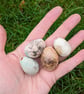 Perfectly Imperfect four ceramic Easter eggs, lifesized speckled songbird eggs