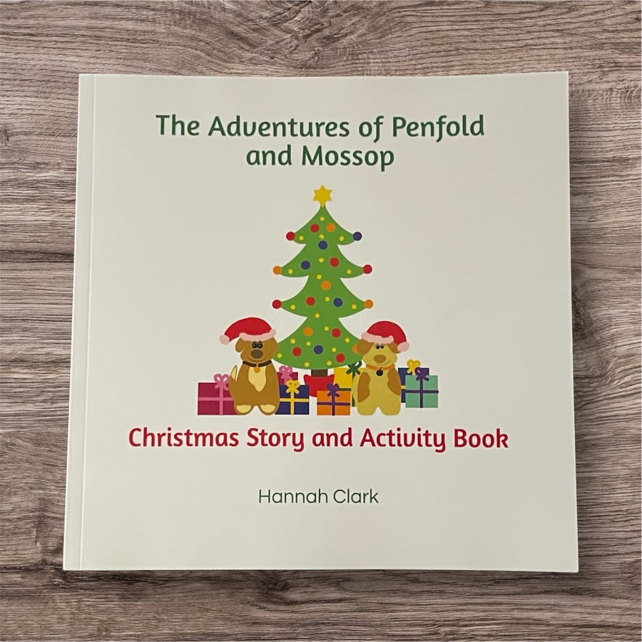 Christmas Story and Activity Book