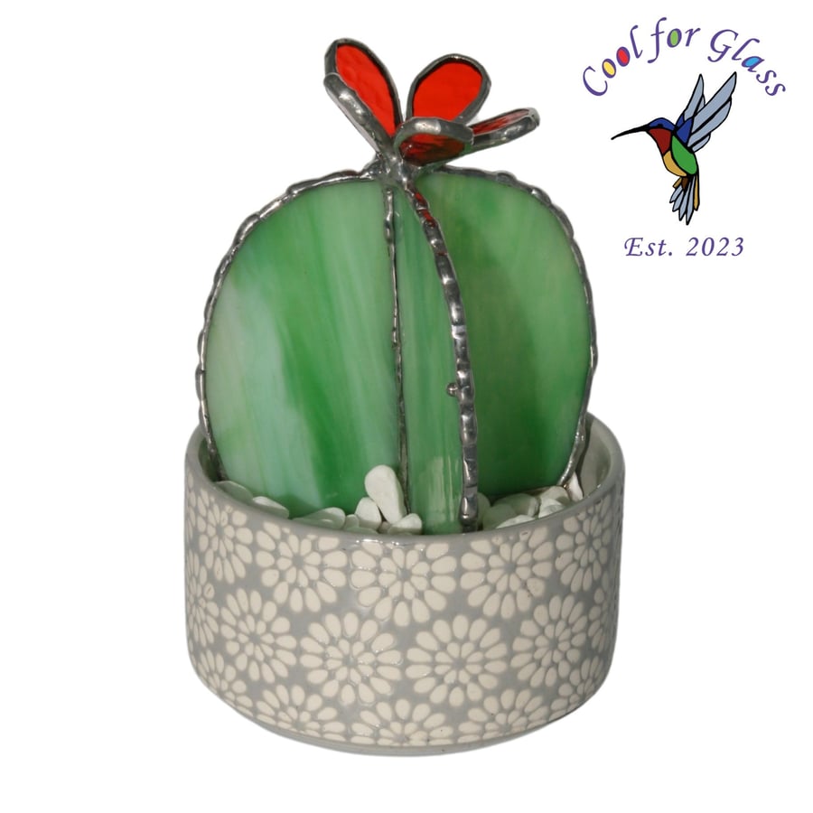 Cactus with flower Stained glass in decorative daisy pot with white gravel 