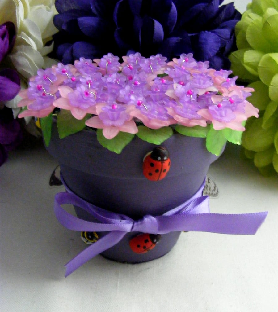 Pink and Purple Fuchsias in a Pot.