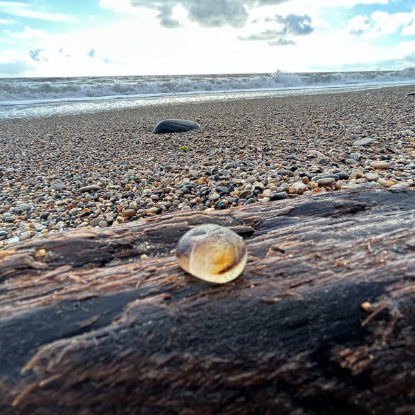 Unique Seaham beach, multi-colour sea glass piece - Amber and yellow