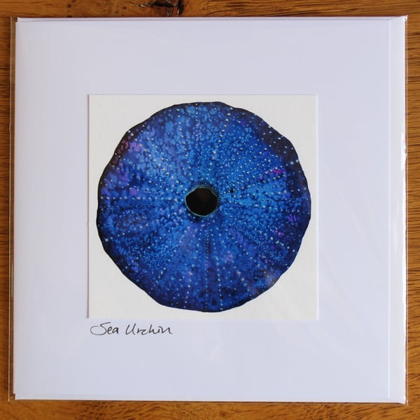 Sea Urchin Card