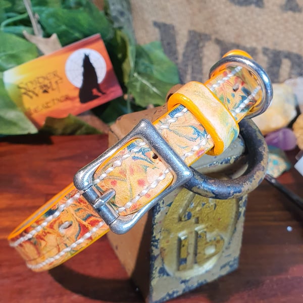 Decorative Dog Collar