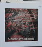 8" x 8" Fine Art Limited Editon Mounted Prints - Image 2